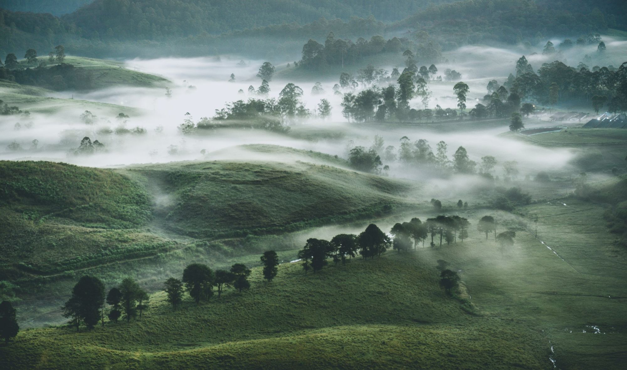 Morning mist drifting over green hills and trees